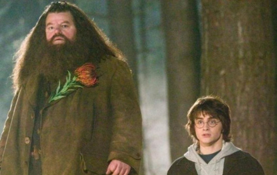 Harry Porter's Hagrid passes away at 72, emotional fans say, ‘There’s no Hogwarts without you Hagrid’