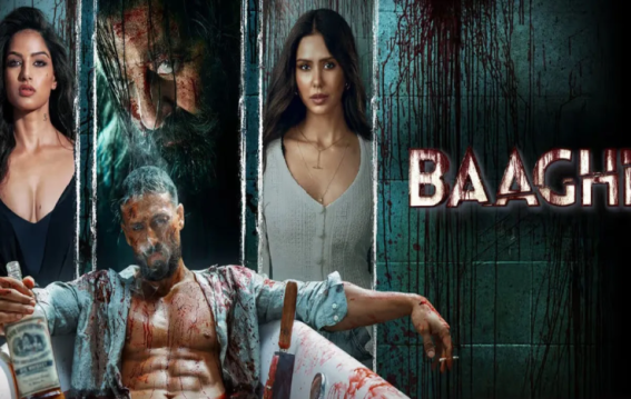 Baaghi 4 Review