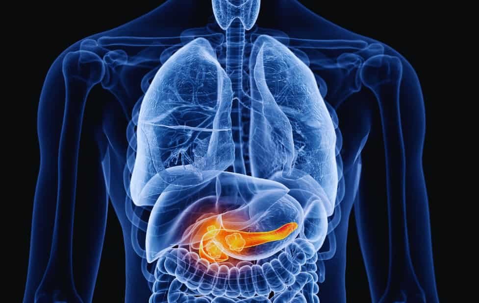 Breaking the Death Loop: How Scientists Discovered Pancreatic Cancer's Hidden Engine