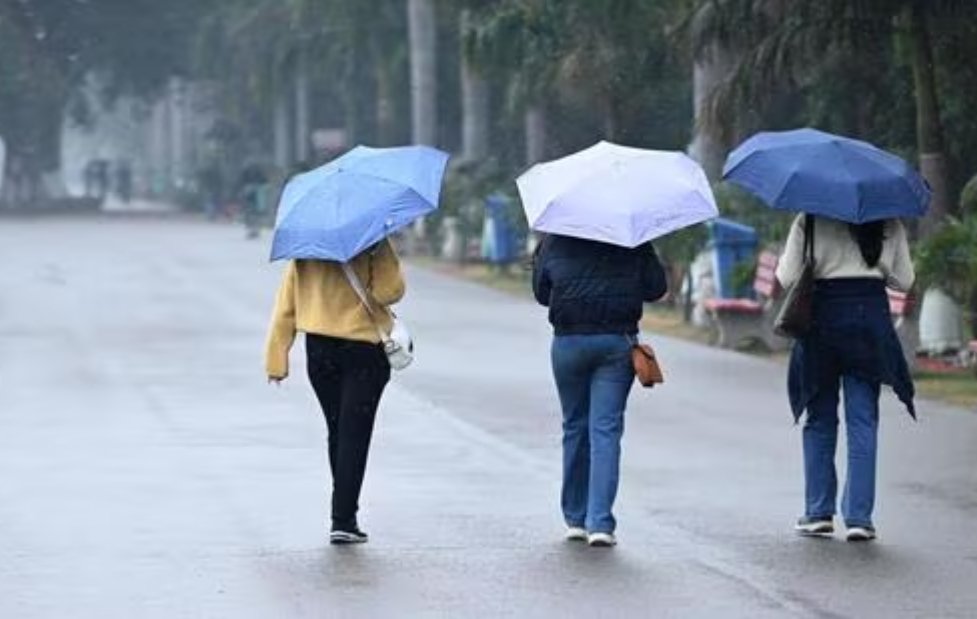 Chandigarh Records Wettest January Day in Four Years After 40 mm Rainfall