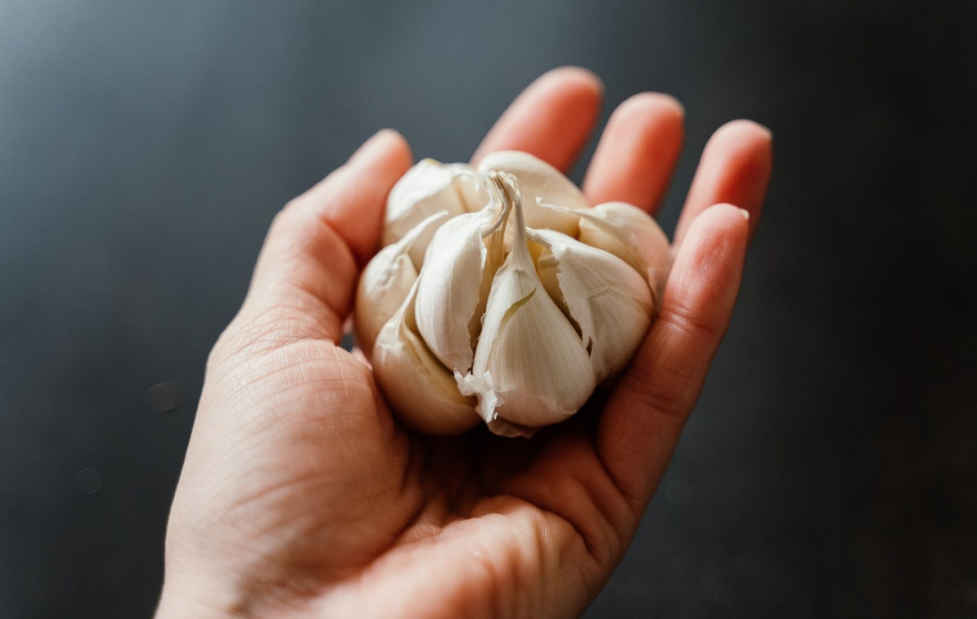 What Happens When You Eat One Clove of Garlic Every Morning?