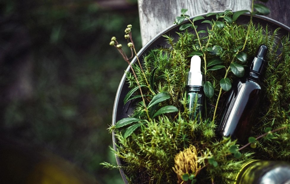 Rosemary Oil vs Tea Tree Oil: Which One Really Helps With Hair Growth?