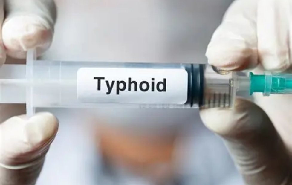 Typhoid Myths That Delay Diagnosis, Treatment, and Recovery