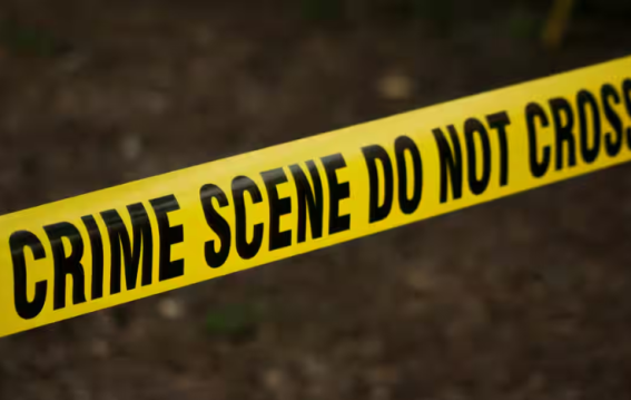 South Delhi Triple Murder