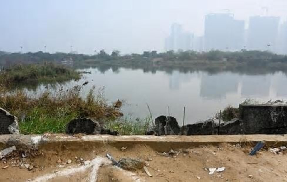 Noida Techie’s Death Lotus Founder Faces Non Bailable Warrant Action