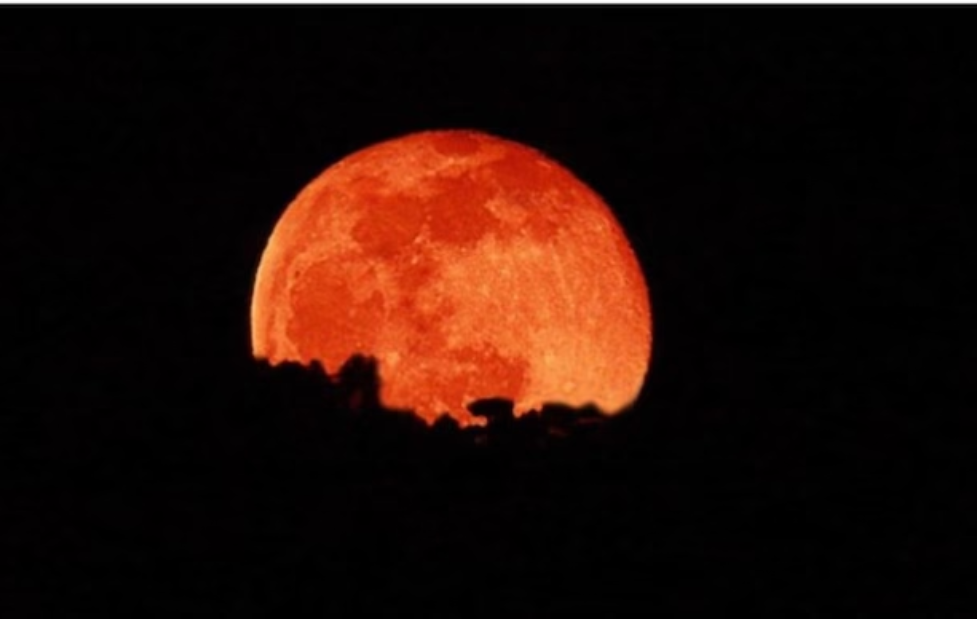 Rare Blood Moon 2026 Lights Sky As Holi Festival Arrives
