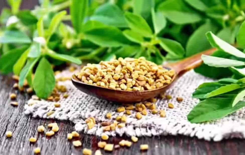 Daily ACV Fenugreek Turmeric Drink: Simple Habit, Big Health Potential