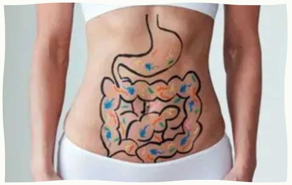 Don Ignore These Six Signs Your Colon Might Be Trying to Talk