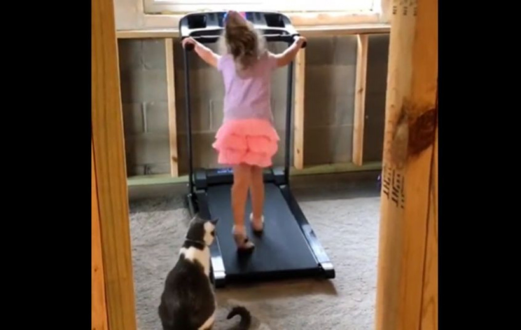 Little girl teaches her cat how to use treadmill! 