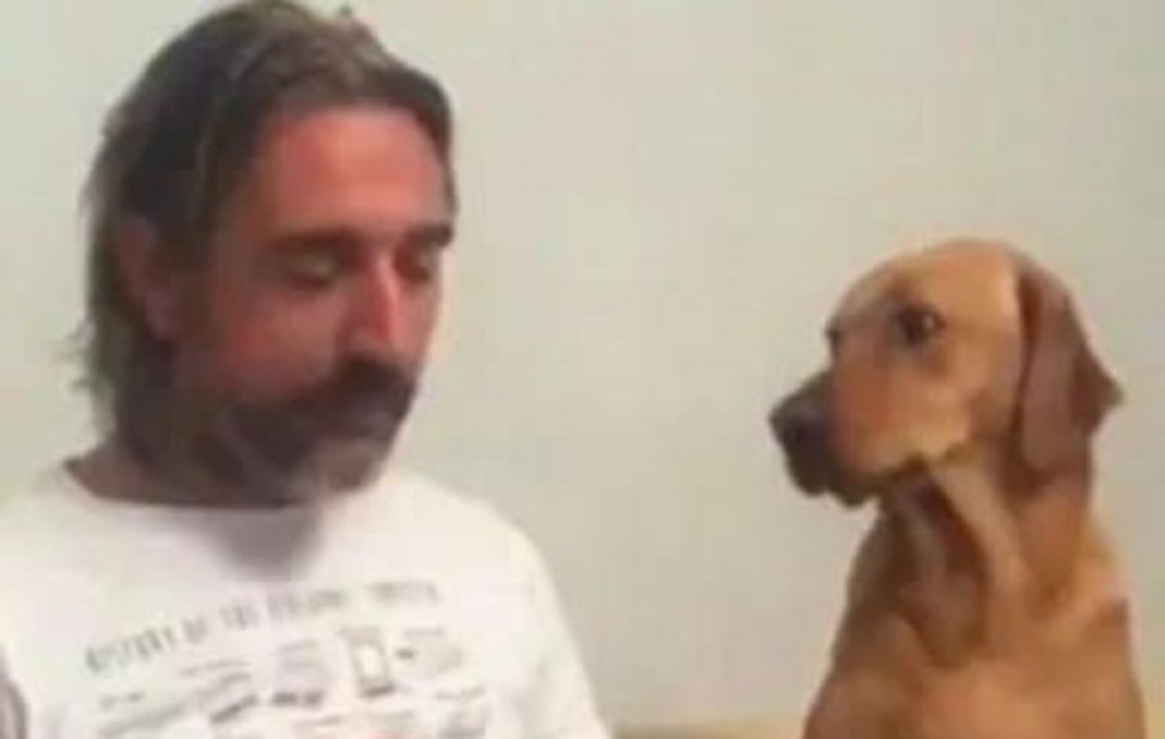 Lovable dog pretends not to be hungry is sure to leave everyone in splits