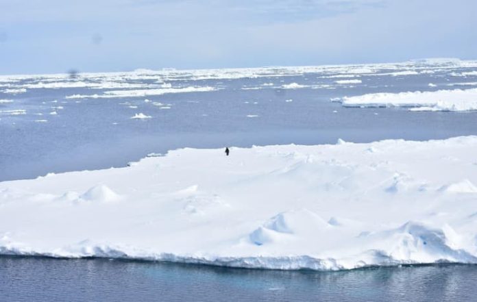 NCPOR Study Unravels Mystery of Low Antarctic Sea Ice Cover
